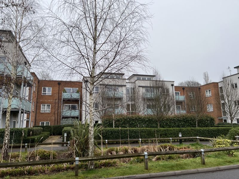 Main Image